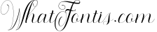 Morden Script || 3 Style 2