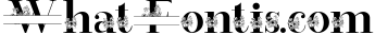 Satteck A Luxury Calligraphy Signature Font 2