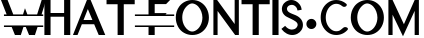 Original Split Font - A Monogram Font