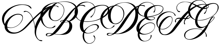 Marchell + Bonus (OFF $40%) Sample