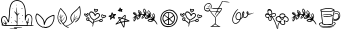 Orange Squash Script 2