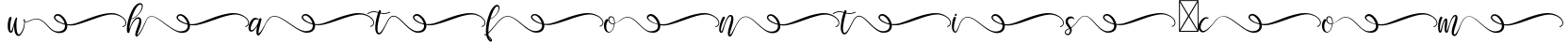 Selamyts 6