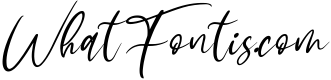 Sophitta - Signature Script Font 1