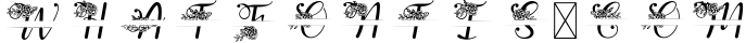 Yuanita Monogram Font - 4 Style Monogram