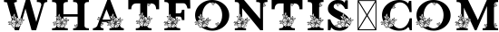Monogram Floral