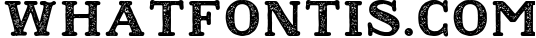 Sailors Diary Sans & Title Slab Tattoo Style Font 1