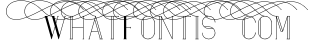 Maria Serif Font 3