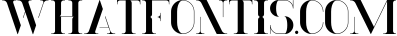 Momentus serif font-Extras