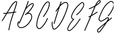 Long Liner | Luxury Signature Sample