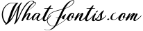 The Longlight - An Elegant Calligraphy Font