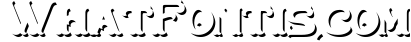 Bullhawk Layered Font Extra 2