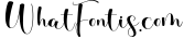 budyloves - script fonts