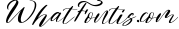Amstelan - Handwritten Script Font