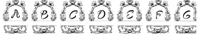 Florista Fista III Sample
