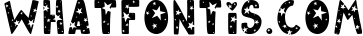 Starry Typeface - Font with Clipart