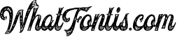 Voltury 4 fonts with extras 1
