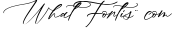 Oh Spring! Calligraphy Font
