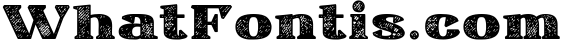 Ardin | Distressed Wedge Serif Webfont 5