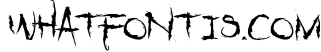 Dejecta