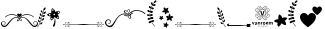 Hollyn Script with Ornaments Font