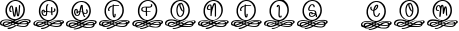 elegant monogram