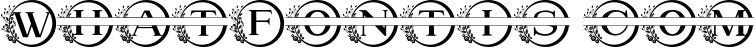Beyond Monogram Font