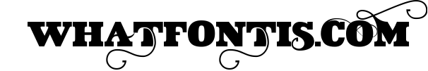 VIDIZ PRO Typeface 9