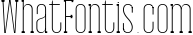 Gayora Slab Serif | Duo Font 6