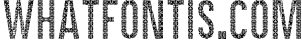 CANTHINK 2