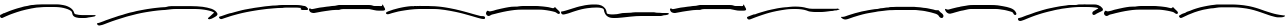 SILVESTER | 6 FONT BRUSH PEN 3
