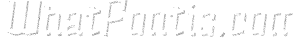 Alquitran Rust 3