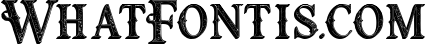 Raven Typeface 7