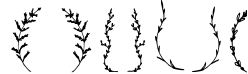 Starboy. Handwritten typeface. 1 Sample