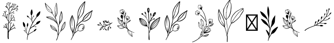So Beautiful Font and Botanicals 2