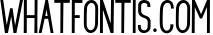 Bitthai Script