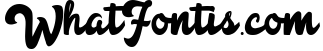 Anggada - Vintage Script Font