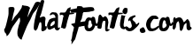 Untitled font duo + extras 1