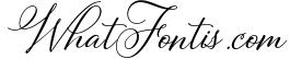 Bettrisia Script - Elegant Calligraphy Font