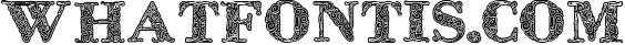 ZsylettPro decorative font 1