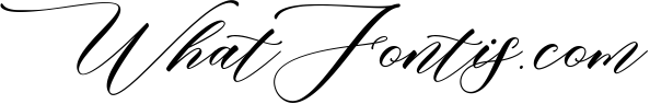 Correa Script