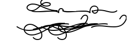 Berliana Monoline Font Extrass Logo