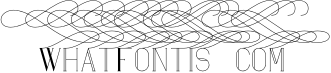 Maria Serif Font 8