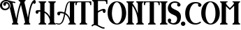 Angwie Serif Art Font