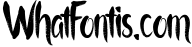 the faino typeface 1