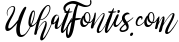 brushgyo typeface 2