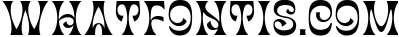 Garten House - Unique Display Font