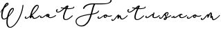 Rachela Script Bold 5