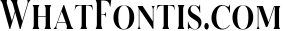 Serizawa - Classic Serif Font
