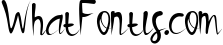 Photograph Script
