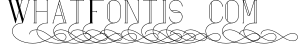 Maria Serif Font 6